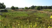 Quail Springs