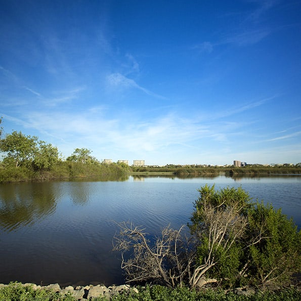 Calm lake edged by trees and shrubs, with a distant city skyline on the horizon beneath a clear blue sky.