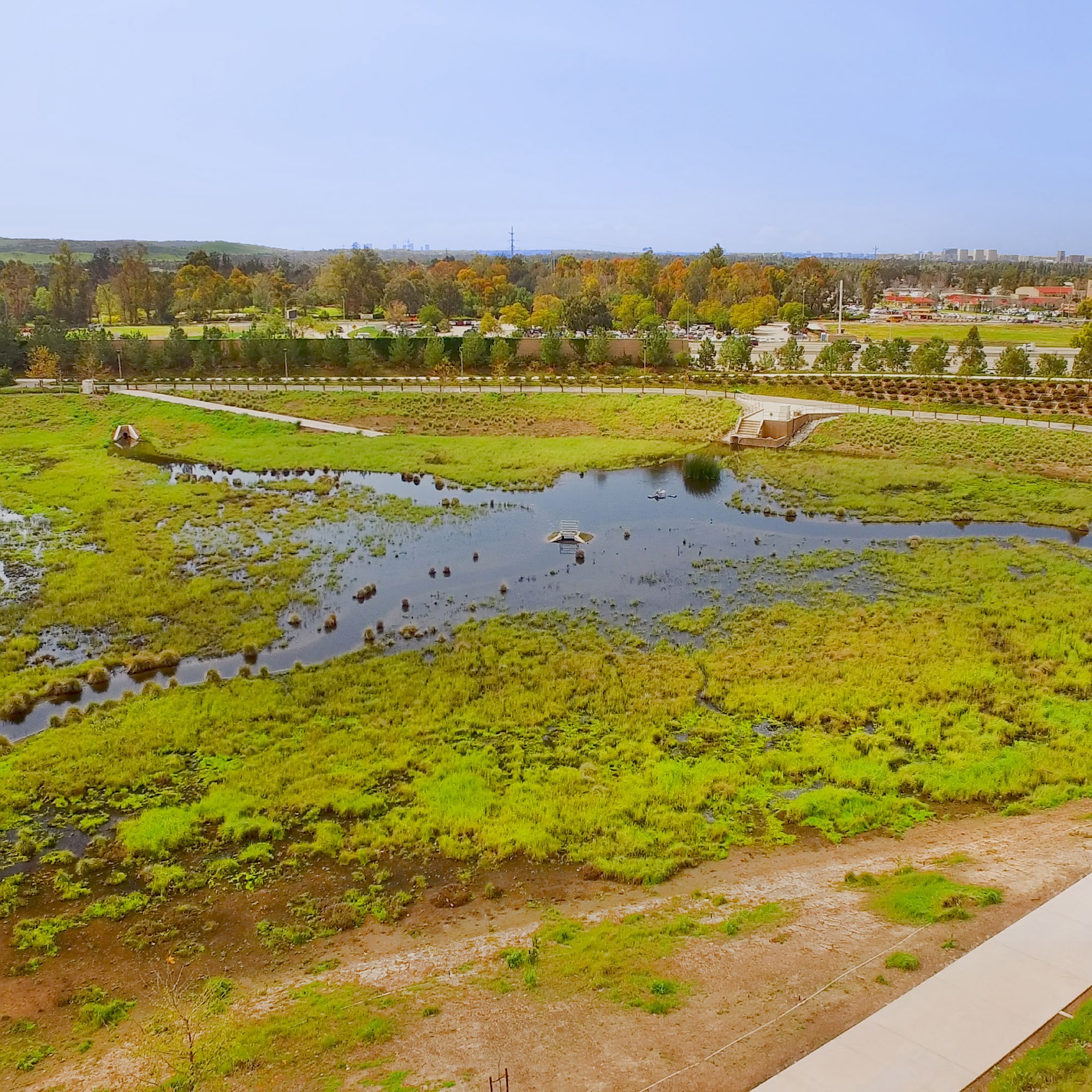 Aerial view of a park wetland with a shallow pond, grassy marsh, and walking paths.