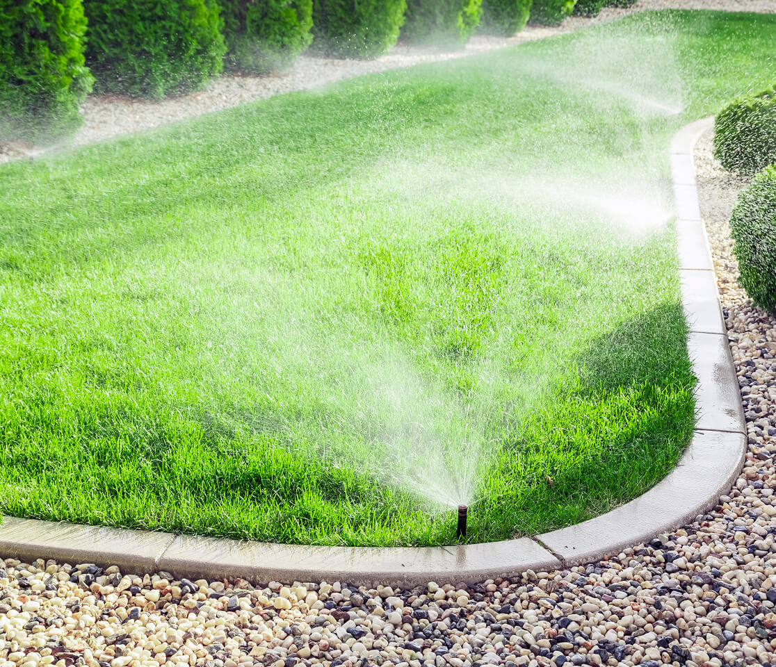 Sprinkler irrigating a lush green lawn along a curved concrete edge.