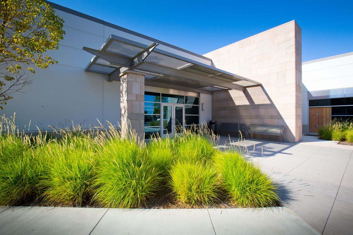 Modern building entrance with glass doors, concrete walkway, and lush ornamental grasses in foreground.