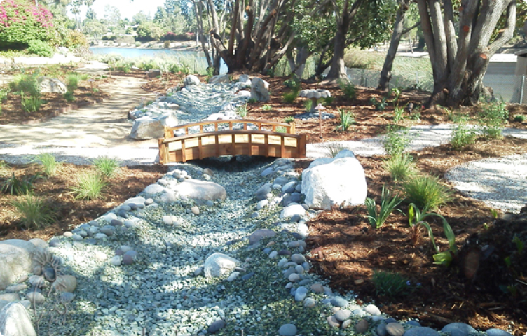 creation-landscape-design