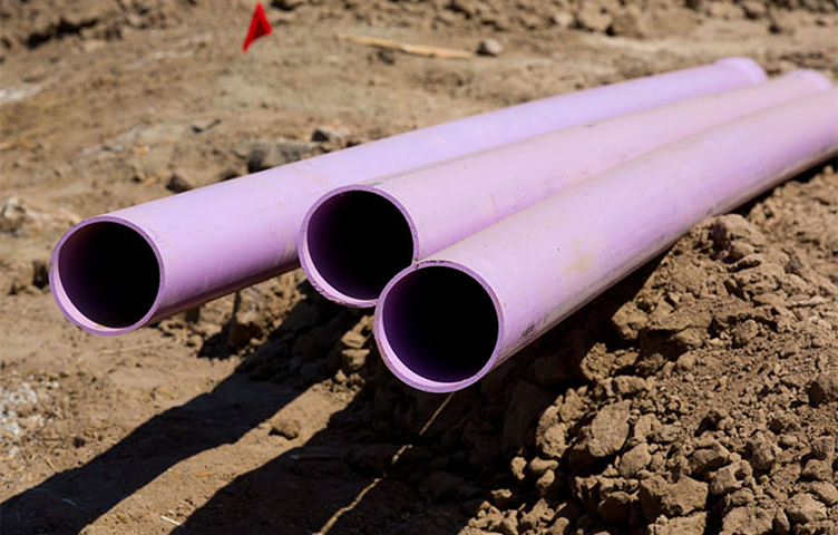 purple-pipe