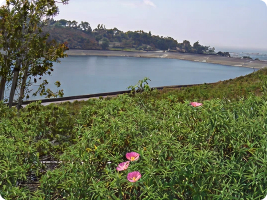 water-supply-and-realibility-water-storage