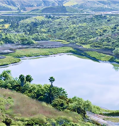 Aerial view of a winding lake in a lush green valley with rolling hills and shrubs.