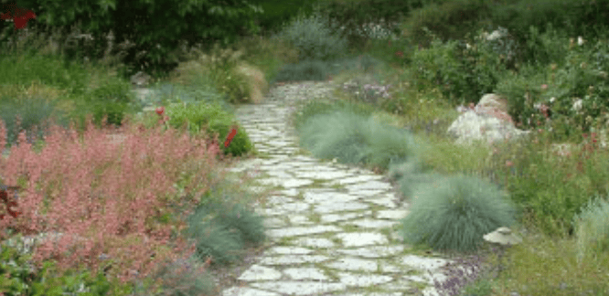 Stone pathway winds through a drought-tolerant garden with ornamental grasses and low shrubs.