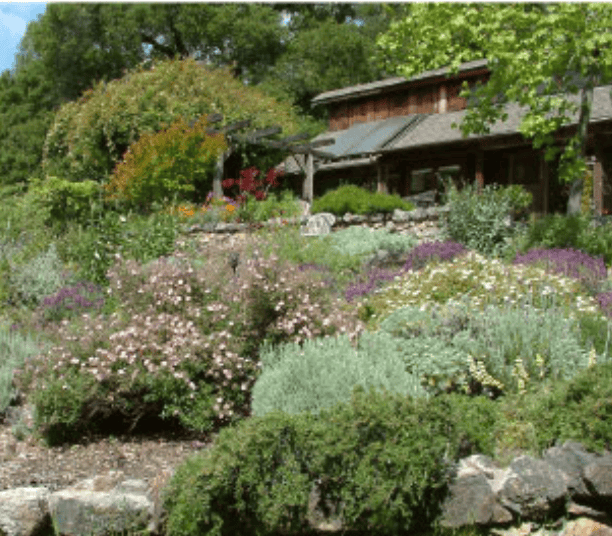 Terraced garden with colorful flowers and a wooden cottage in the background.