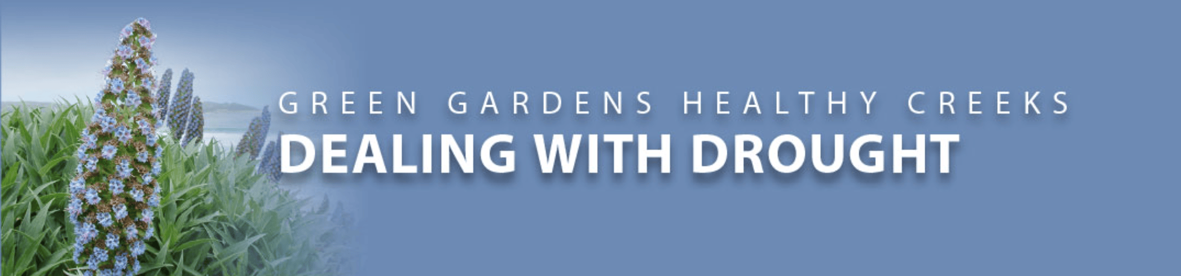 Blue banner with large white text 'DEALING WITH DROUGHT' and a tall flowering plant among green grasses on the left.