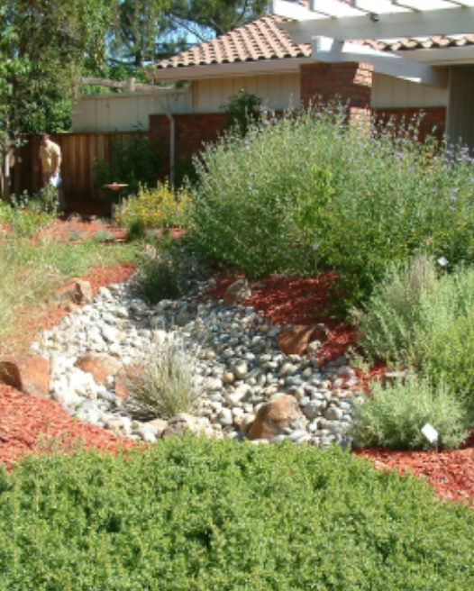 Drought-tolerant rock garden in a backyard featuring a rock riverbed, layered shrubs, and a brick house in the background.