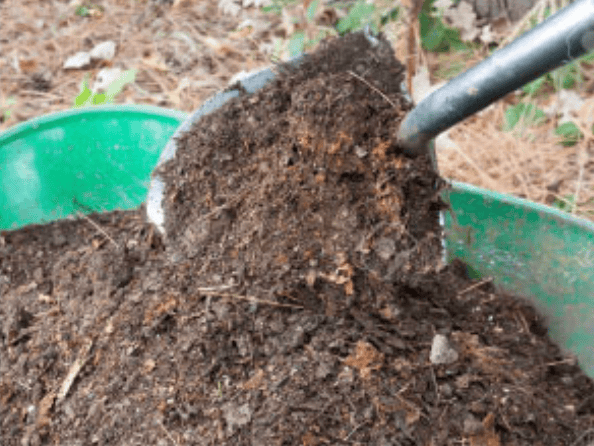 Dark soil piled into a green wheelbarrow with a shovel resting on top, outdoors.
