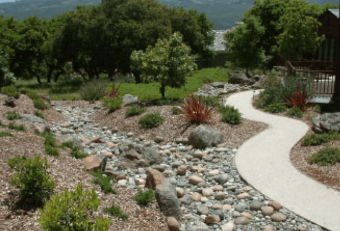 Curved concrete path winds through a rock-filled drought-tolerant garden with trees, shrubs, and a stone stream bed.