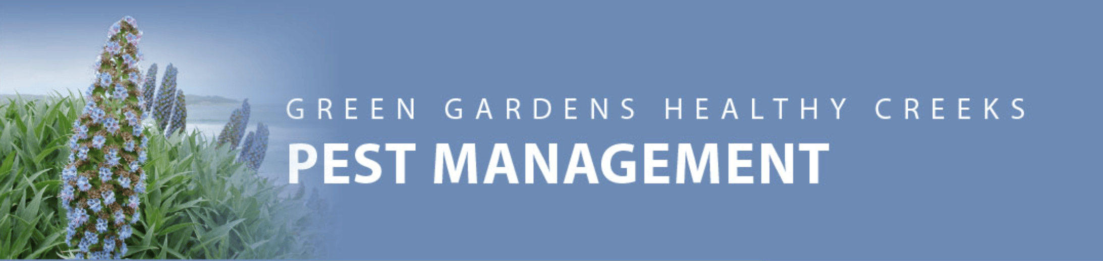 Banner featuring lavender-like flowering plants on the left and a blue gradient background with the words Pest Management.