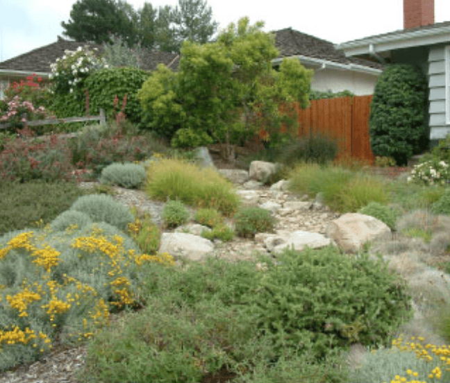 Rock garden with stone path, shrubs, and drought-tolerant plants beside a suburban house.