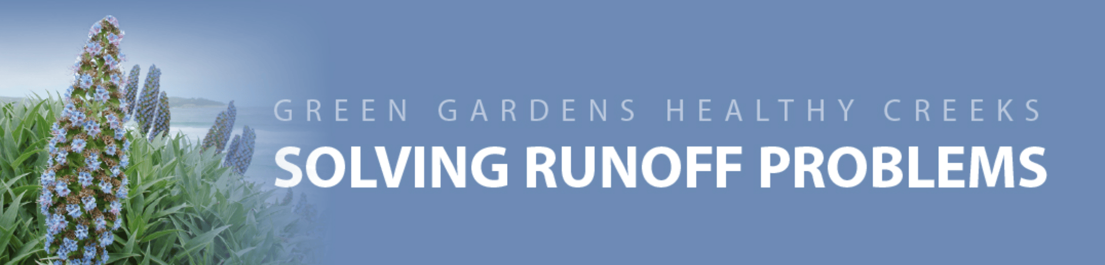 Banner with green plants and tall blue flower spikes beside the text 'Solving Runoff Problems' and 'Green Gardens Healthy Creeks'.