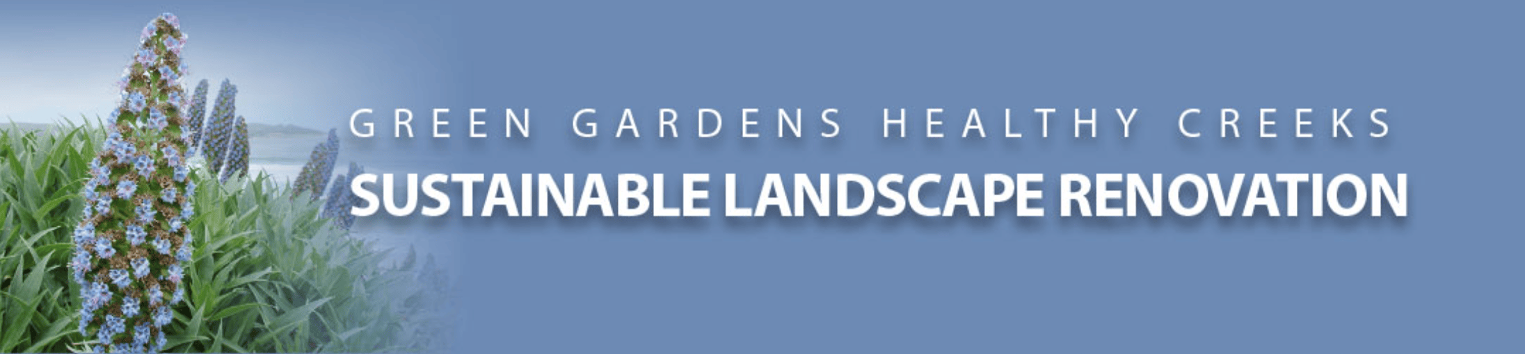 Banner featuring lush garden plants with tall blue flower spikes and bold text: Sustainable Landscape Renovation