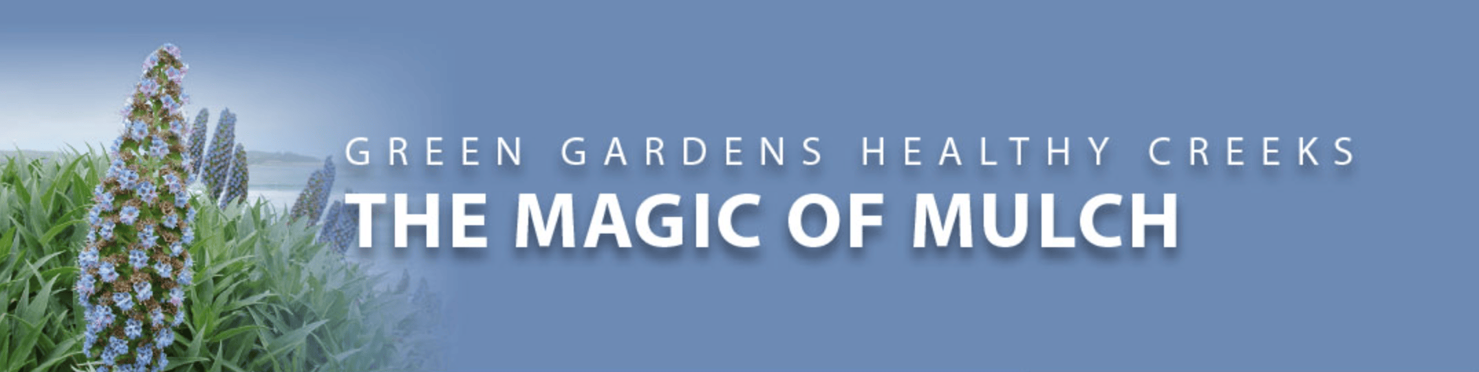 Banner on blue background displaying 'GREEN GARDENS HEALTHY CREEKS' and 'THE MAGIC OF MULCH' beside tall blue flowering spikes.