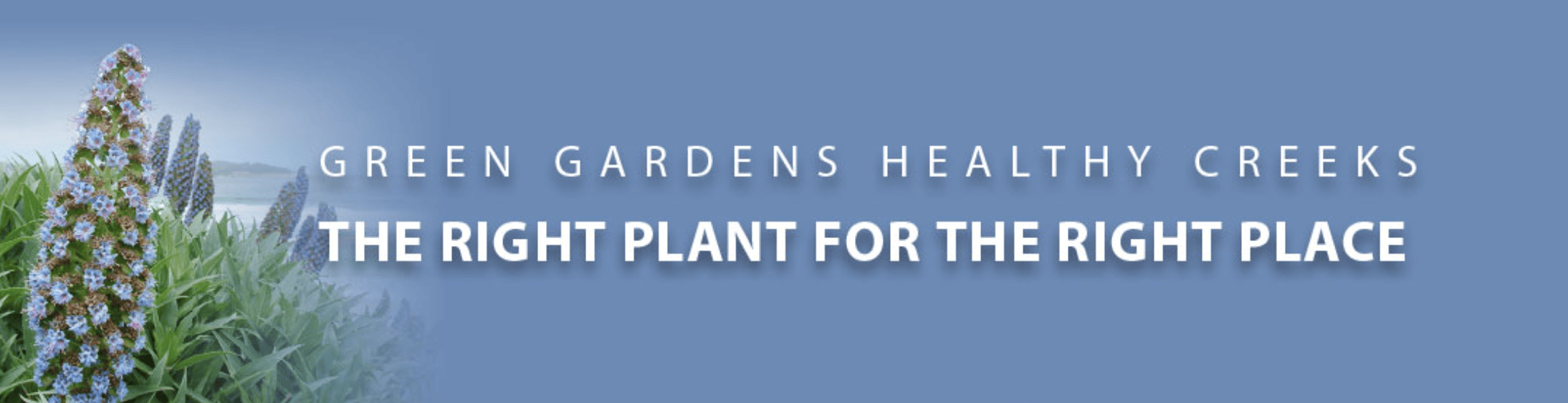 Blue banner with tall flowering plants on the left and the text 'The Right Plant for the Right Place' across.