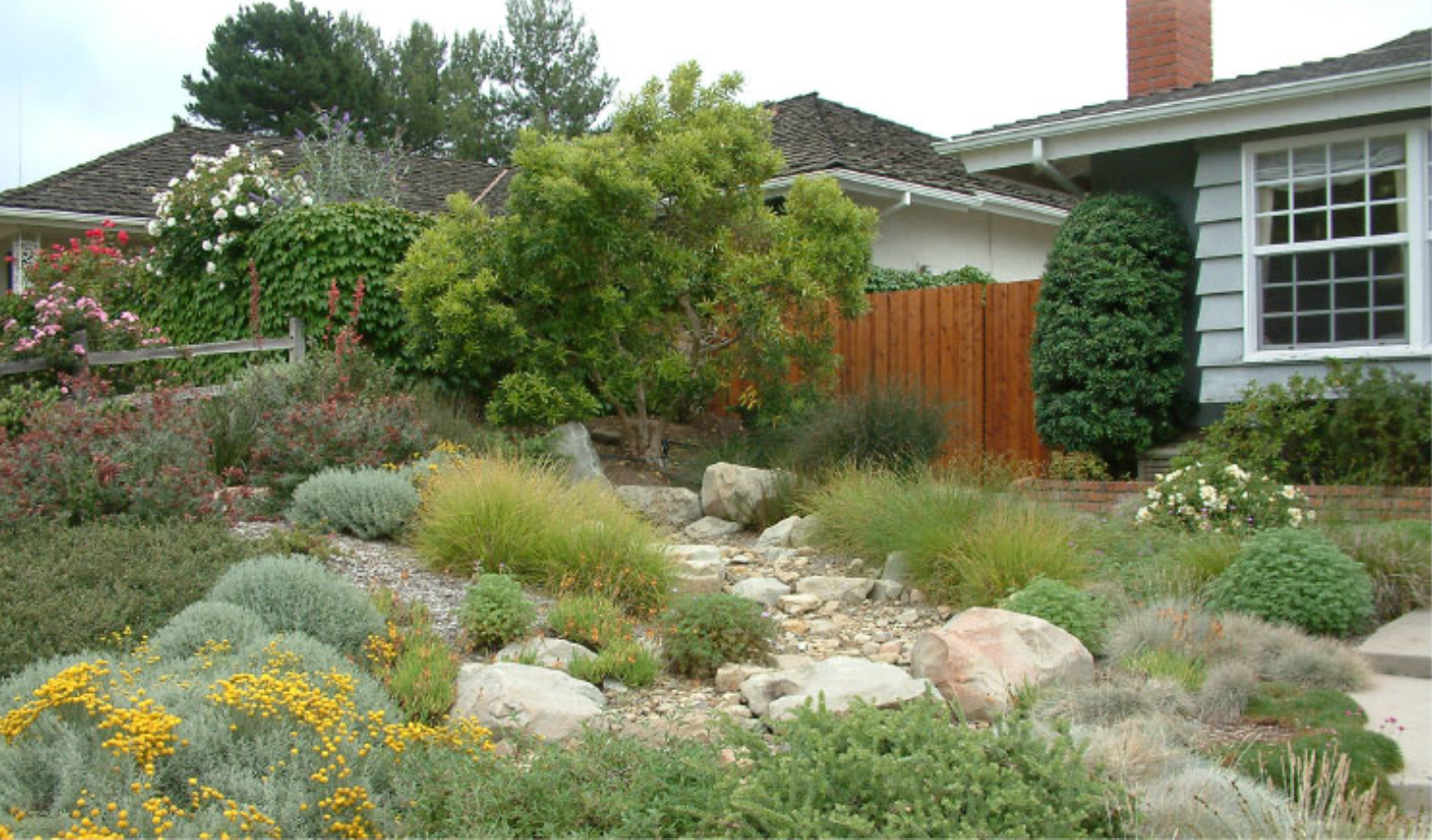 Front yard landscape with rocks, grasses, shrubs, and flowering plants beside a house and wooden fence.