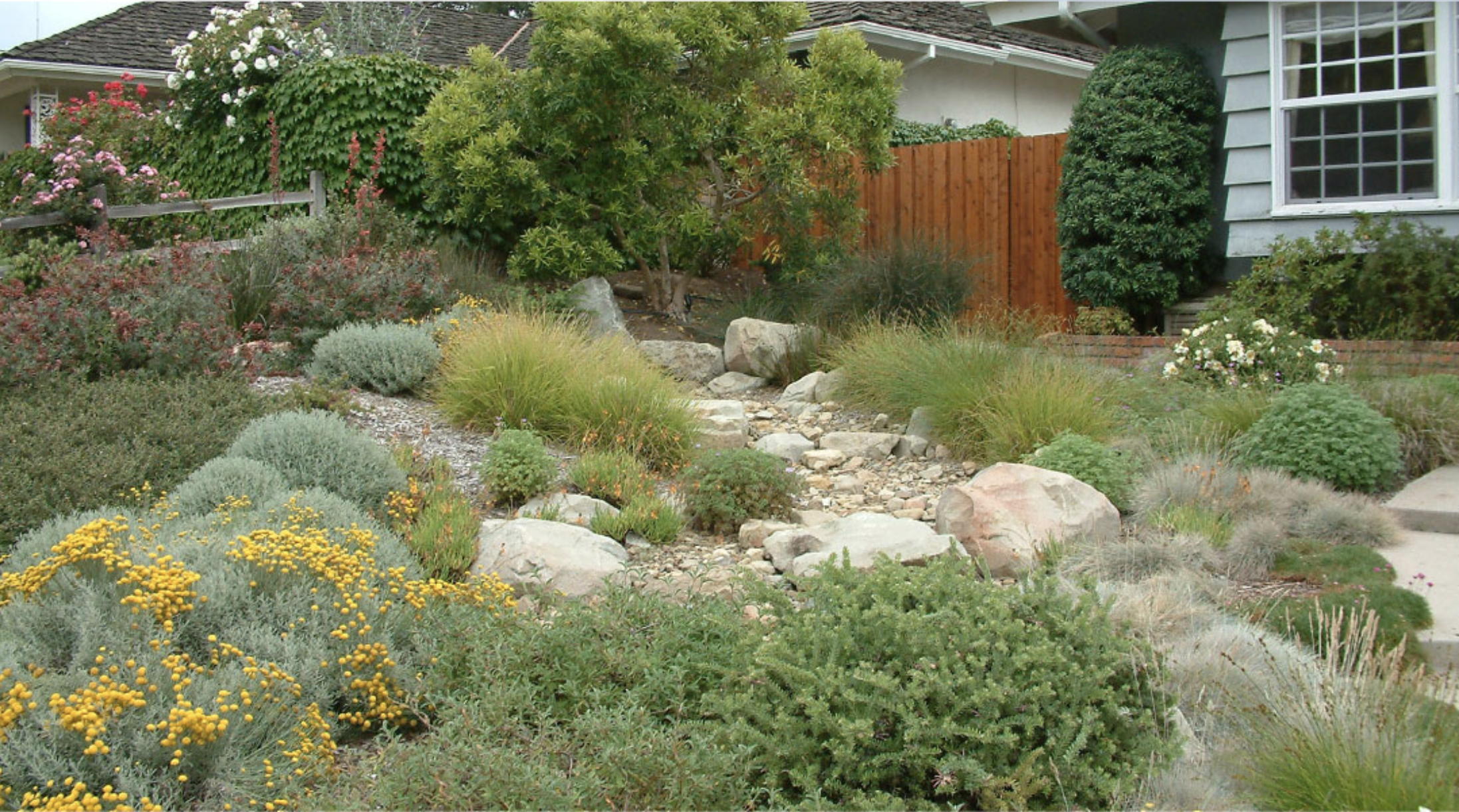 Drought-tolerant front-yard garden with rocks, grasses, and shrubs beside a suburban house.