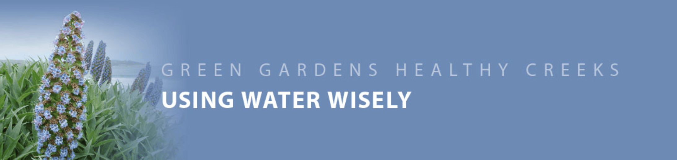 Blue banner with text 'Green Gardens Healthy Creeks: Using Water Wisely' and a left-side display of flowering plants.
