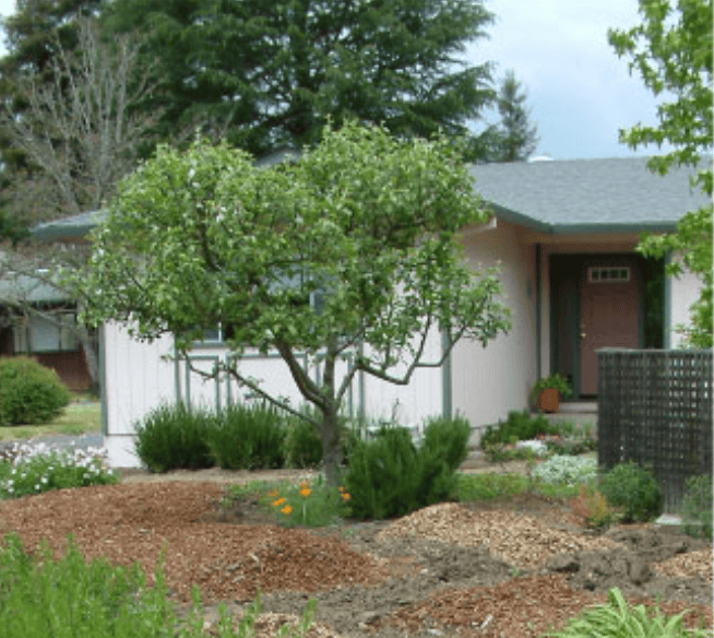 Shaded front yard with a small tree and rock mulch garden in front of a suburban house.