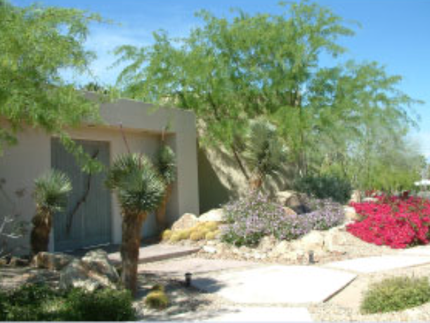 Desert home landscape with drought-tolerant plants, palm trees, rocks, and a gravel path.
