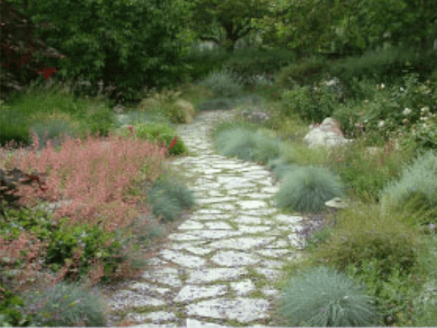 Stone pathway winding through a lush garden with ornamental grasses, shrubs, and blooming flowers.