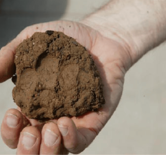 A hand holds a clump of brown soil.