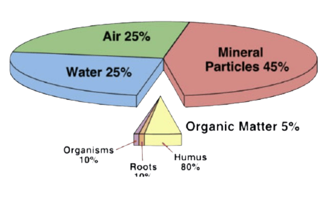 Soil composition pie chart: air 25%, water 25%, mineral particles 45%, organic matter 5%; inset pyramid outlines humus, roots, and organisms.