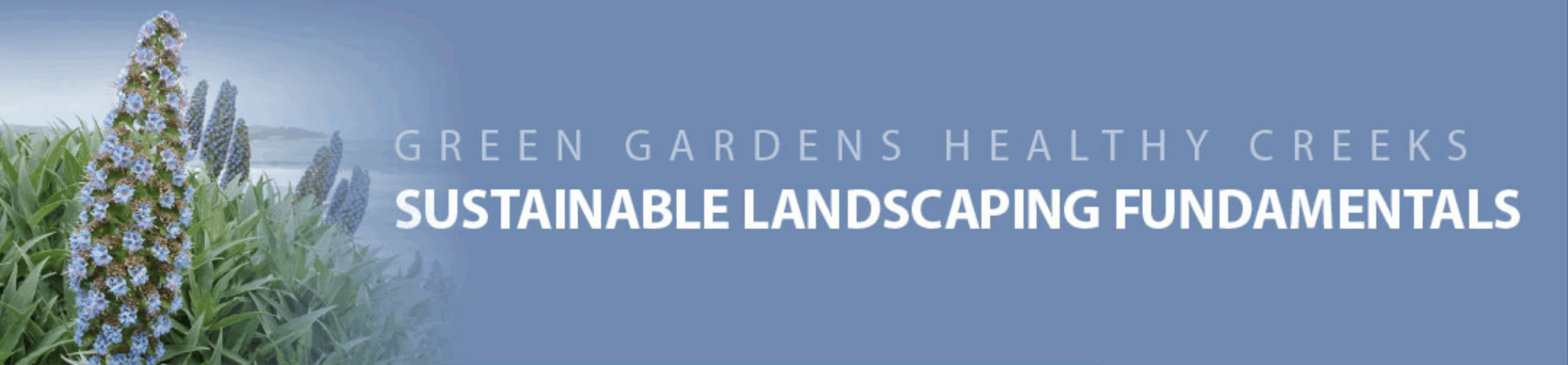 Banner with blue background, left-side flowering spikes and green foliage, reading Sustainable Landscaping Fundamentals.