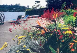 Colorful garden with blooming flowers by a lakeside pool and lounge chairs.