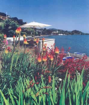 Seaside terrace with a white umbrella, lounge chairs, and red-orange flowers overlooking a calm blue bay.