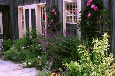 Cottage-style garden along a wooden house with flowering plants and climbing vines around a white-framed window.