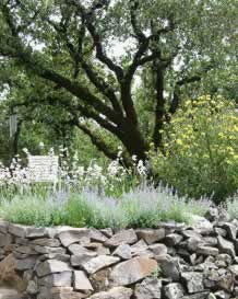 Stone wall with lavender in front of a large, leafy tree in a garden.