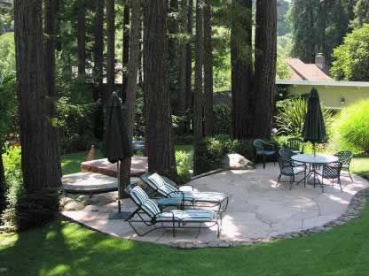 Outdoor stone patio circling mature trees with cushioned lounge chairs and a small dining set under shade.