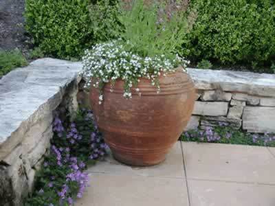 Terracotta pot with cascading white flowers on a stone-paved patio beside a short stone wall and green shrubs.