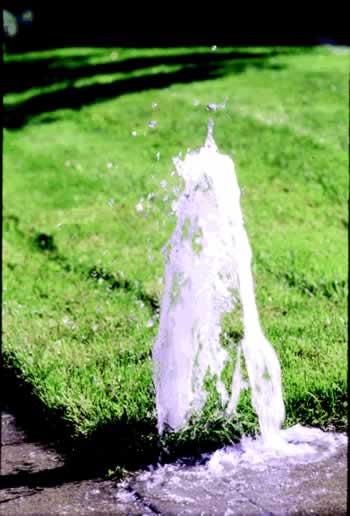 Water fountain jet spraying up from a concrete edge into a green lawn.