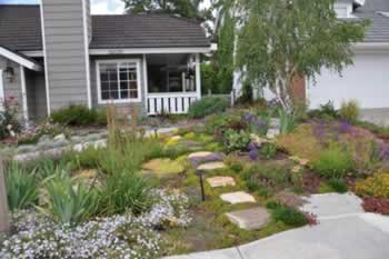 Front yard landscape with stepping-stone path, colorful plants, shrubs, and a small tree in front of a gray house.