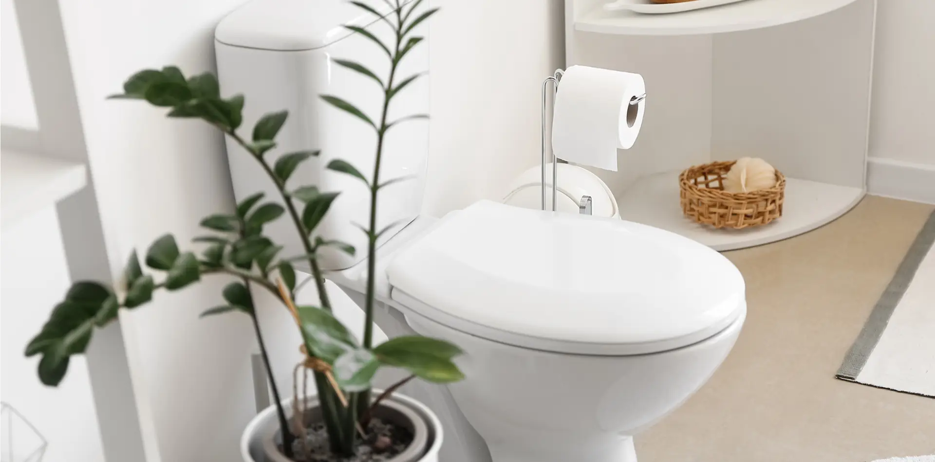 toilet